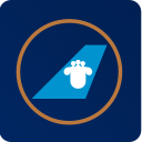 Logo China Southern Airlines